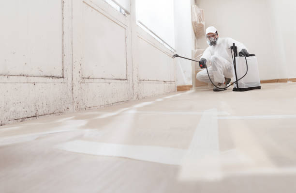 24/7 Emergency Mold Testing experts in Thurmont, MD