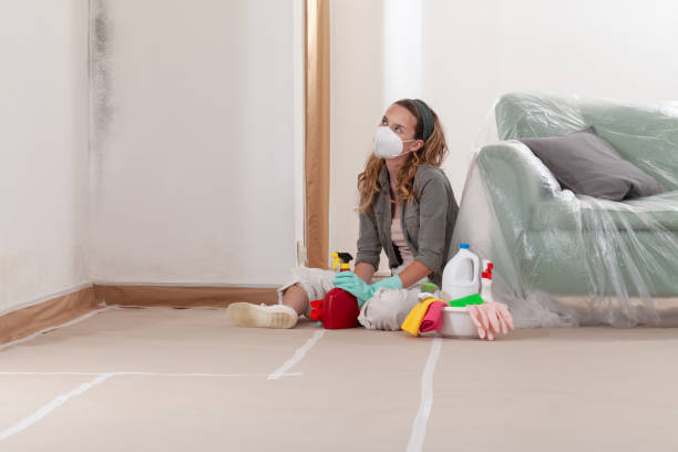 Reliable Mold Testing contractor in Thurmont, MD by WQB Mold Removal