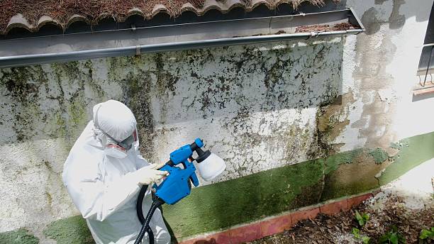 Top rated local Mold Testing specialists in Thurmont, MD